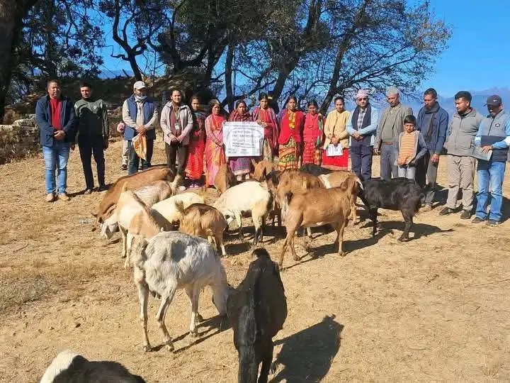 अछाममा ४ पालिकाका अति जोखिममा रहेका घर परिवार र एकल महिलालाई बाख्रा वितरण